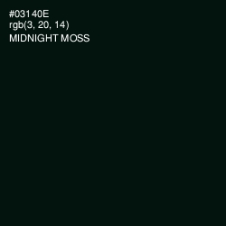 #03140E - Midnight Moss Color Image